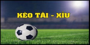 Kèo tài xỉu 1.75 đang được quan tâm và chơi nhiều tại các nhà cái